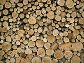 Ποια ξύλα να προτιμήσω;