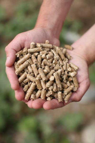 Pellet AKZ Latvia 15Κg (στην Αθήνα) - Image 5